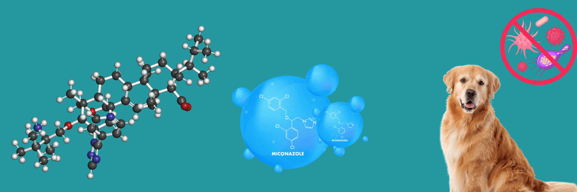 Antifungal and Antibacterial Control