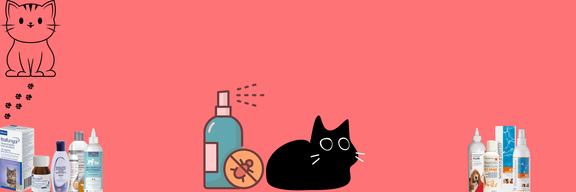 Antifungal And Antibacterial Solutions