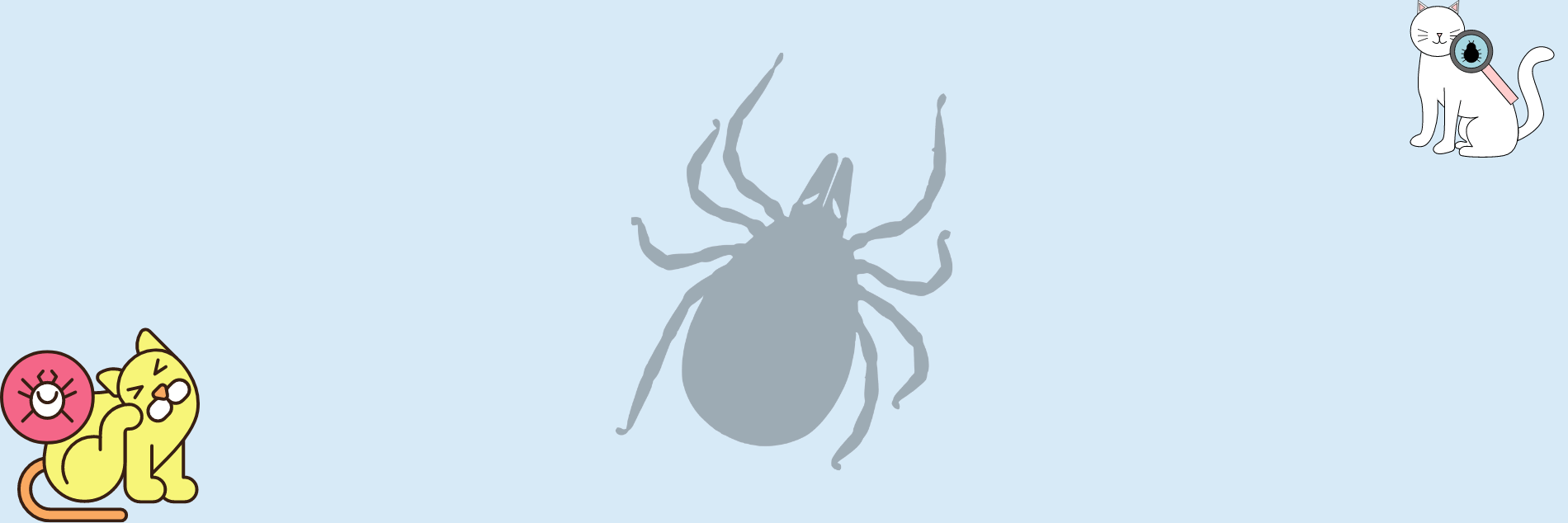 cat tick and flea control