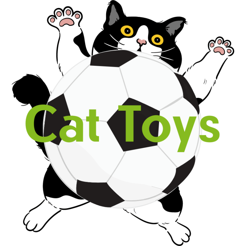 Cat Toys