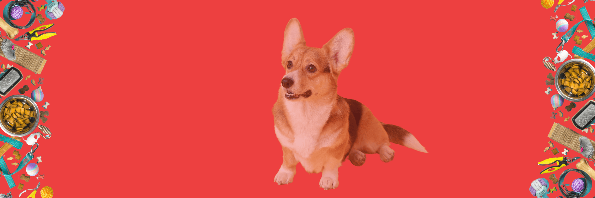 Dog Health And Accessoriess