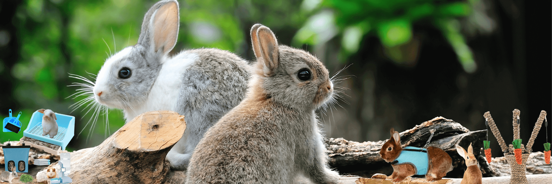 Rabbit Accessories