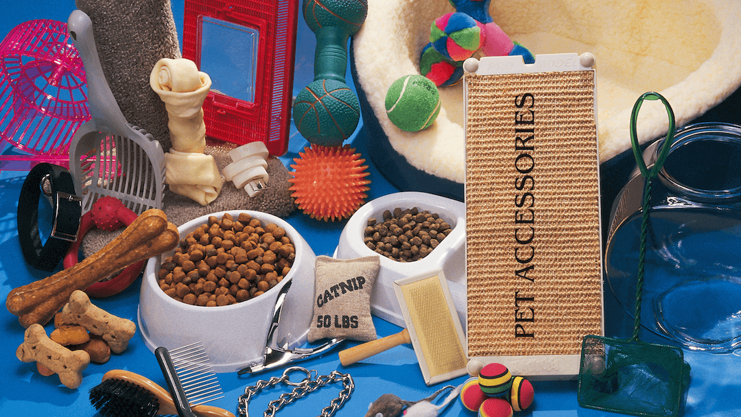 Pet Accessories