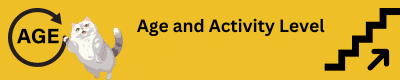 Age and Activity Level