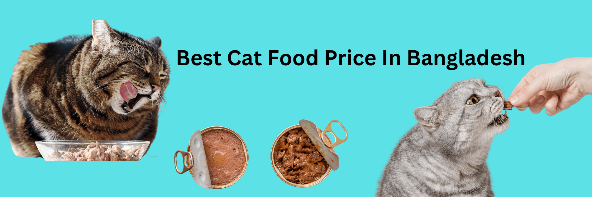 Best Cat Food Price In BD