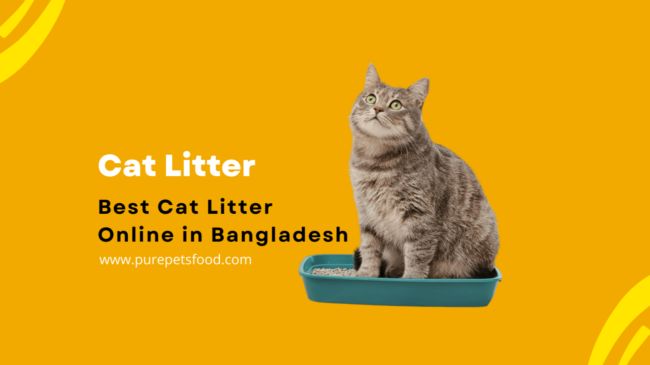 Cat Litter