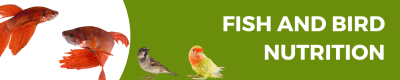 Fish And Bird Nutrition