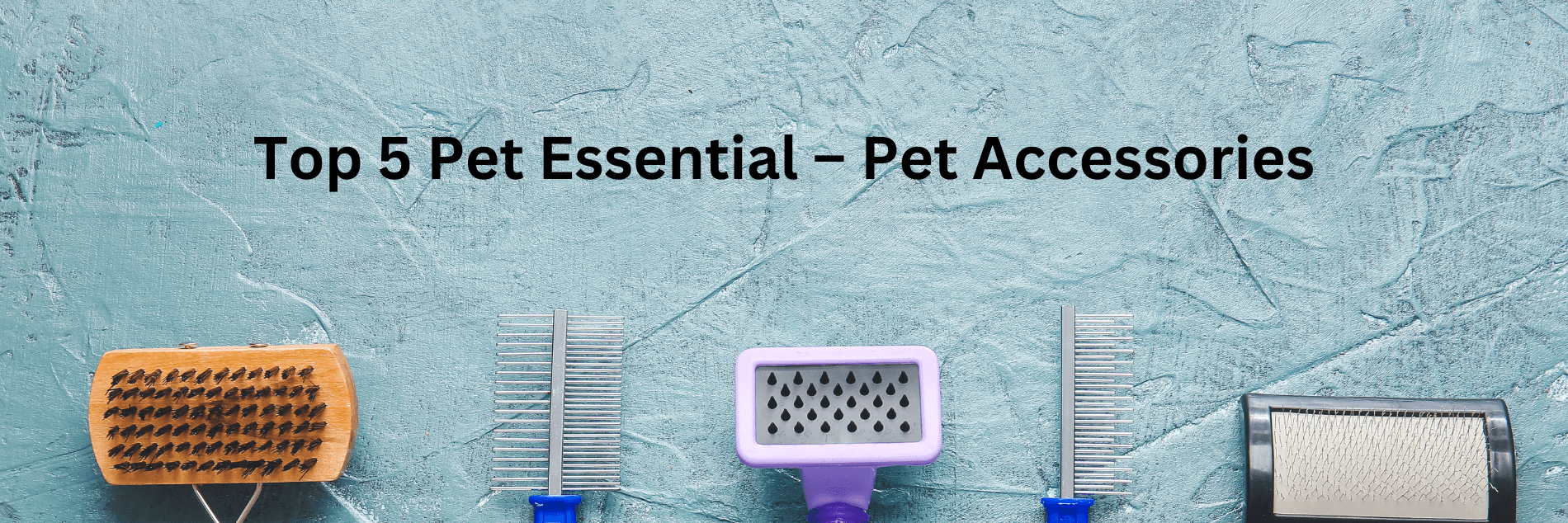 Top Five Pet Essential Pet Accessories