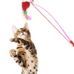 Colorful Mouse Teaser Cat Toy