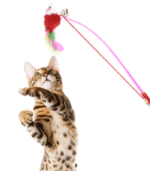 Colorful Mouse Teaser Cat Toy