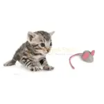 Colorful Mouse Cat Toy