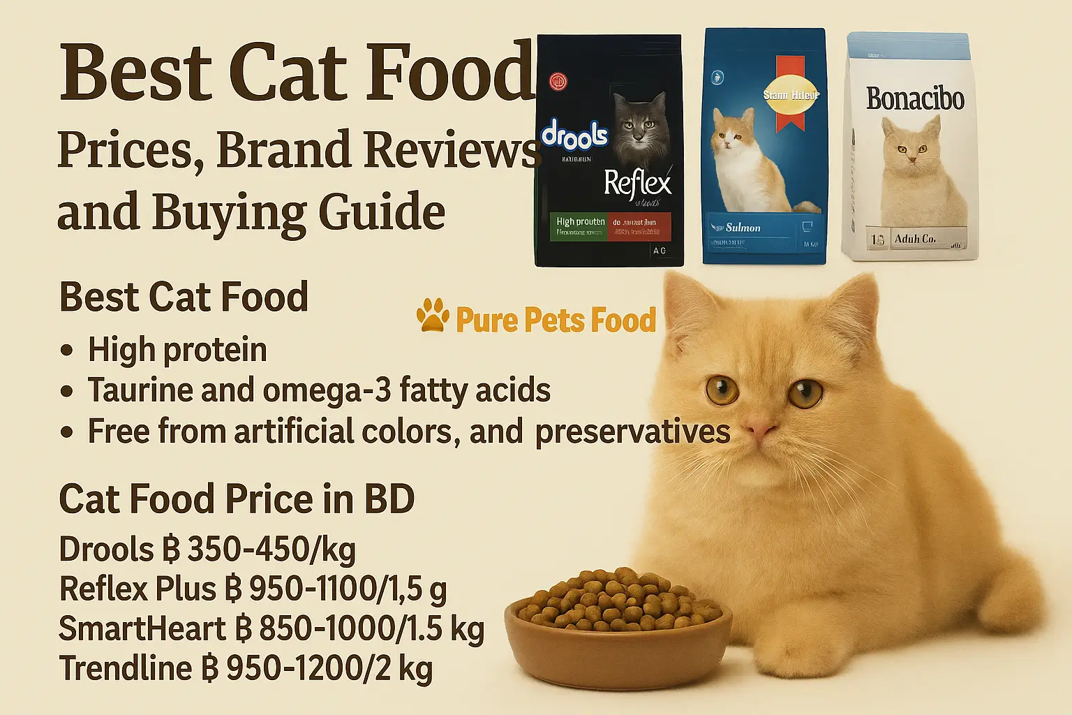 best cat food