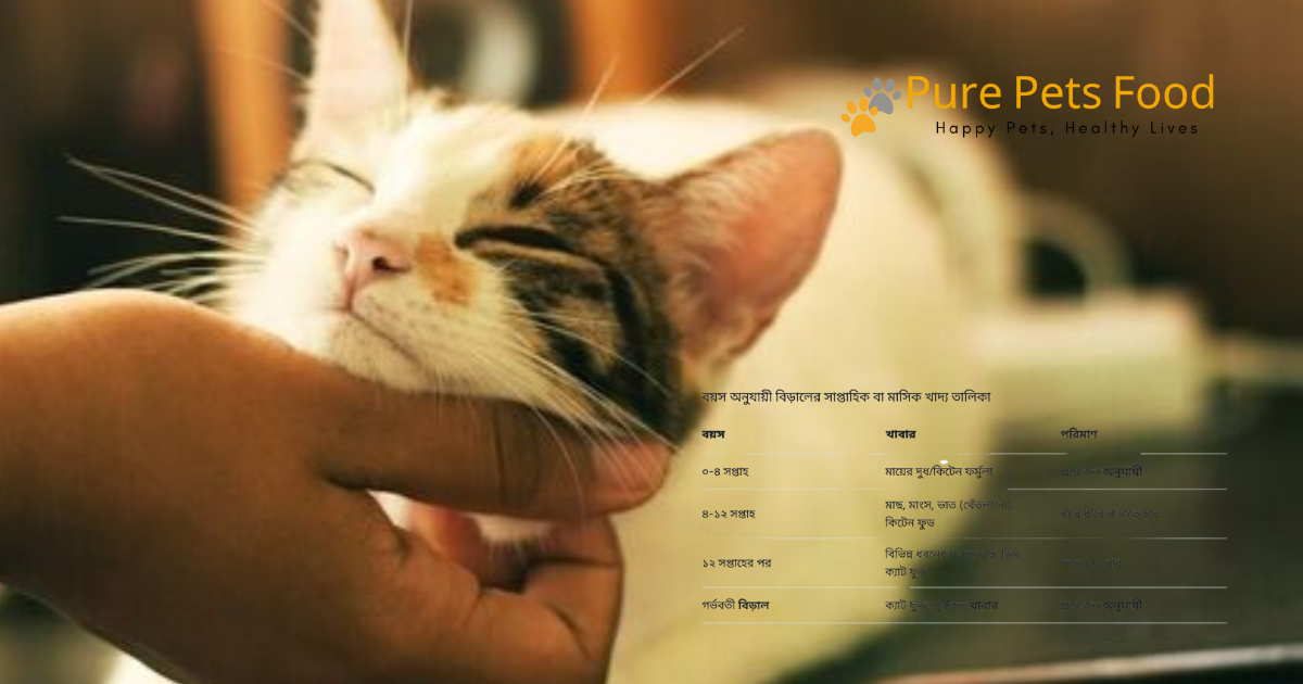 বিড়ালের খাবার গাইড