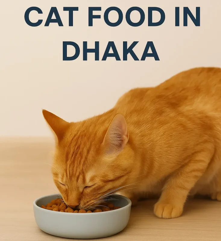 cat food in dhaka