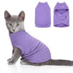 Soft Fleece Cat Sweater