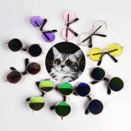 Stylish Pet Sunglasses for Cats And Dogs