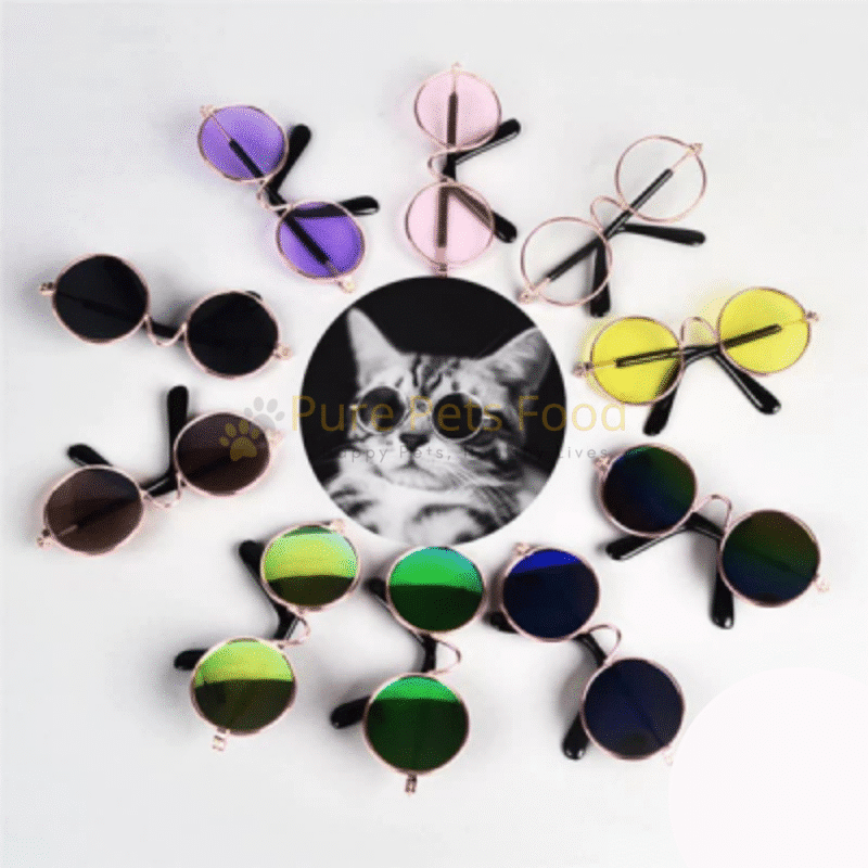 Stylish Pet Sunglasses for Cats And Dogs