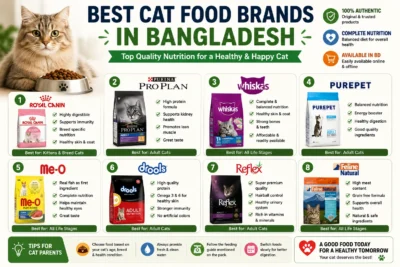 Best Cat Food Brands In Bangladesh Comparison Guide