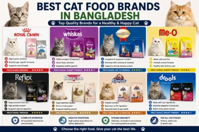 Best cat food brands available in Bangladesh including Royal Canin Whiskas SmartHeart Me-O Reflex Bonacibo Kaniva and Drools