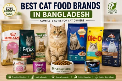 Best Cat Food Brands in Bangladesh Comparison Guide