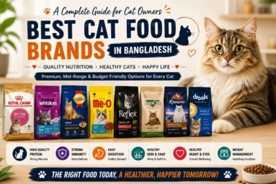 Best Cat Food Brands in Bangladesh