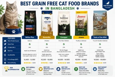Best Grain Free Cat Food Brands in Bangladesh