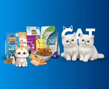 Best Kitten Food in Bangladesh for Healthy Growth