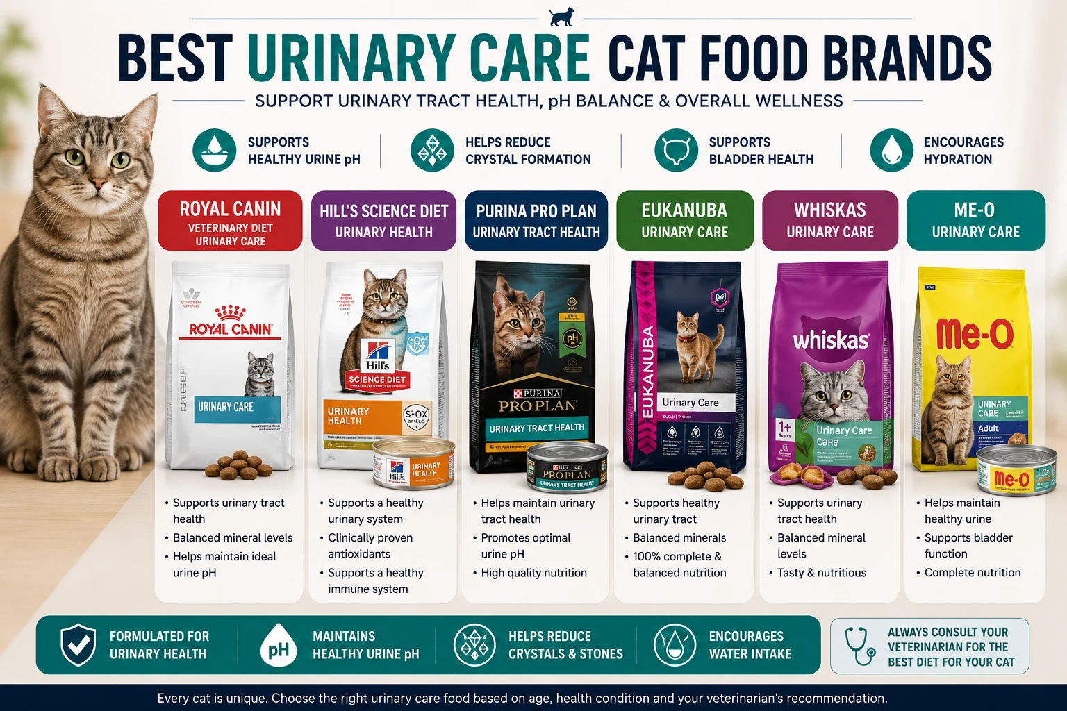 Best Choosing Food for Urinary Health Brands for Cats in Bangladesh