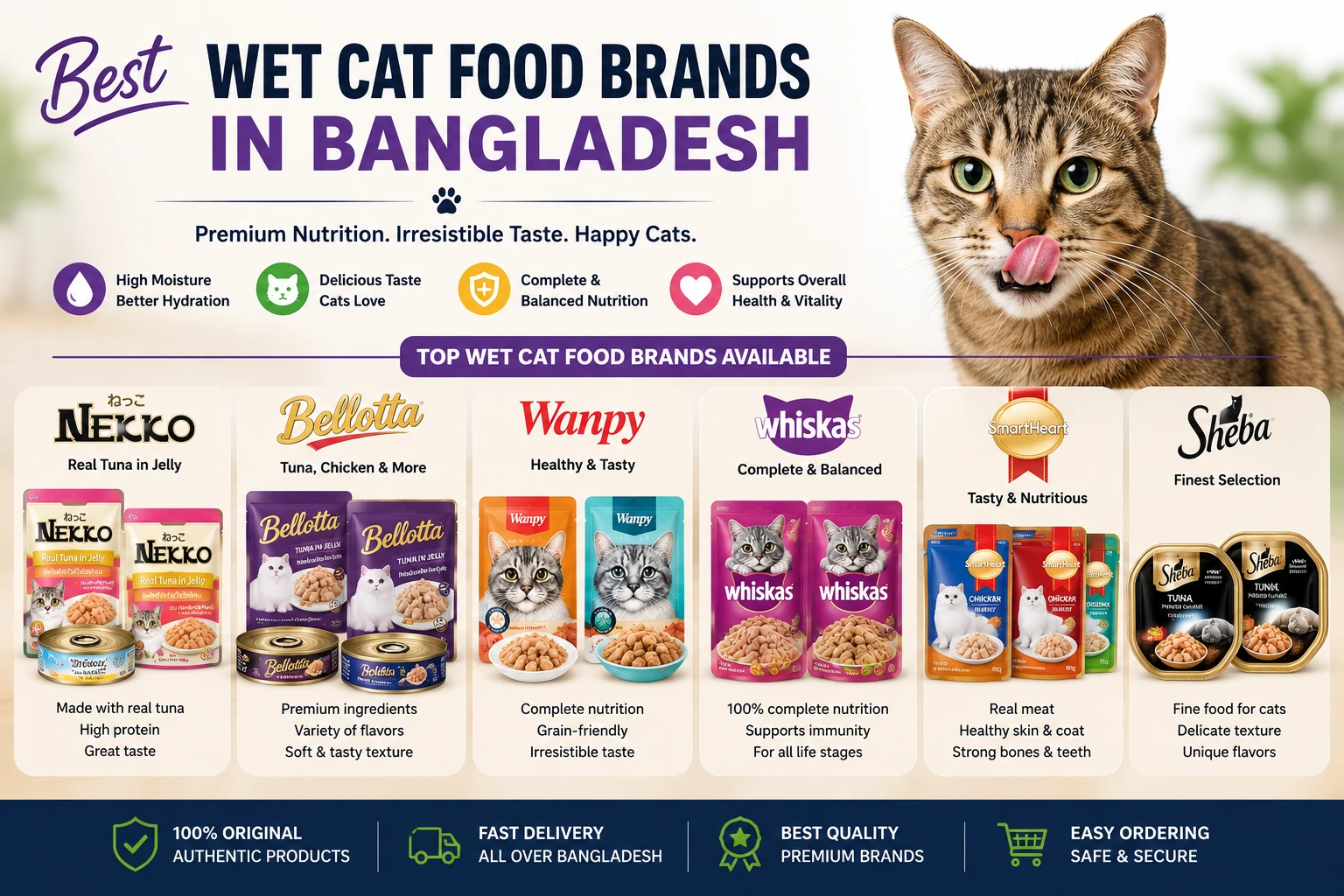 Best Wet Cat Food Brands in Bangladesh