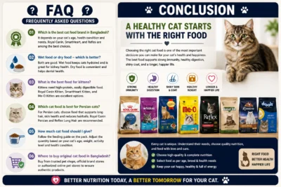 Cat Food Brands Bangladesh FAQ and Conclusion Guide for Healthy Cats