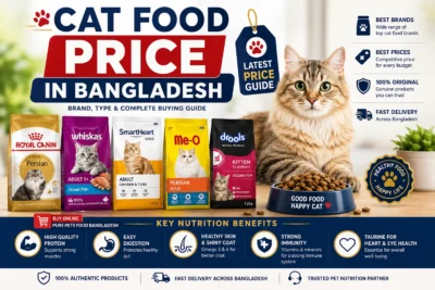 Cat Food Price in Bangladesh with top brands, healthy cat, feeding bowl and latest price guide