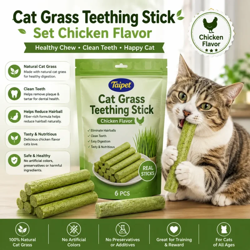 Cat Grass Teething Stick Set Chicken Flavor 6Pcs dental treat for cats in Bangladesh
