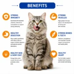 Drools Adult Cat Food benefits including immunity digestion muscles heart skin and coat support