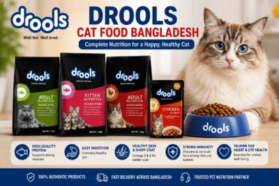 Drools Cat Food Bangladesh with dry food, wet food, cat bowl and healthy cat nutrition benefits