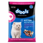 Drools Kitten Nutrition Ocean Fish Dry Cat Food 400g for kittens and mother cats in Bangladesh