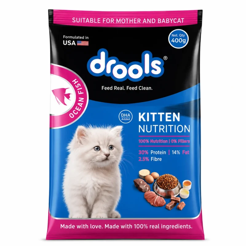 Drools Kitten Nutrition Ocean Fish Dry Cat Food 400g for kittens and mother cats in Bangladesh
