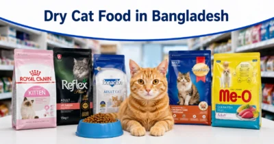 Dry Cat Food in Bangladesh