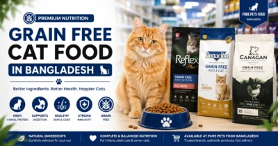Grain Free Cat Food in Bangladesh