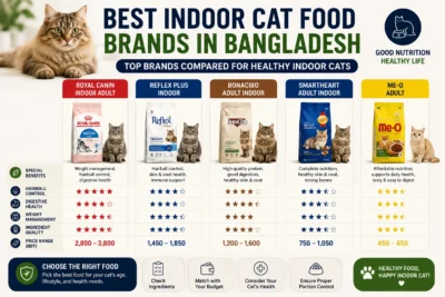 Indoor Cat Food Price in Bangladesh