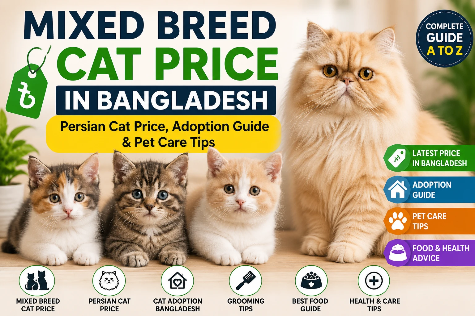 Mixed Breed Cat Price in Bangladesh