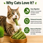 Natural cat grass real chicken plant fiber and natural flavor ingredients in Taipet Cat Grass Teething Stick