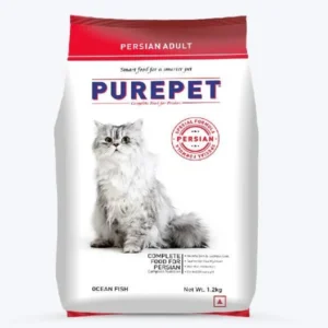 Dry Food vs Wet Food for Persian Cats