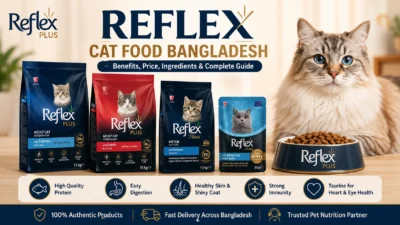 Reflex Cat Food Bangladesh with dry food, wet food, cat bowl and healthy cat nutrition benefits
