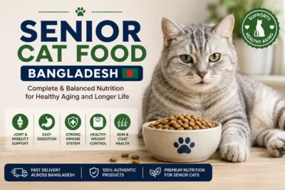 Choosing Food for Senior Cats