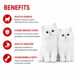 Smart Heart Kitten Food benefits healthy growth immunity digestion strong bones and teeth