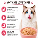 Benefits of Taipet chicken and salmon wet cat food for hydration digestion and healthy skin