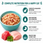 Benefits of Taipet chicken and tuna jelly wet cat food including immunity hydration and healthy coat support