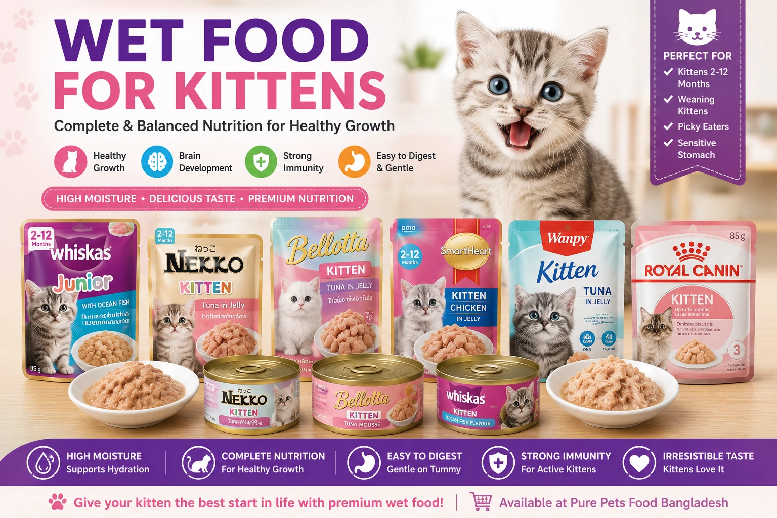 Wet Food for Kittens in Bangladesh