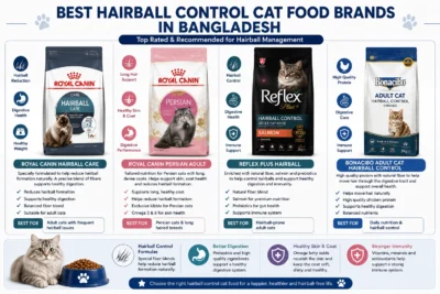 What Are Hairballs in Cats