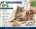 Cat grooming tips for Bangladesh homes with brushing, nail trimming, bathing, ear care, and dental care advice